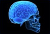 Head or brain injuries