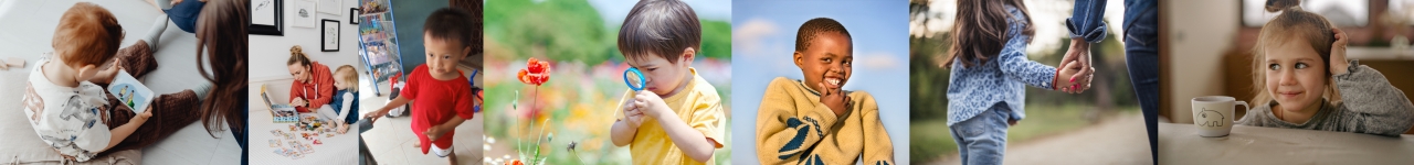 Personal injury legal training header