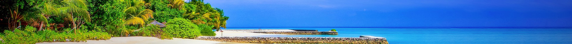 International Injuries Conference 2025