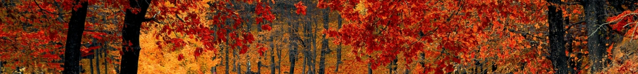 Personal injury legal training header