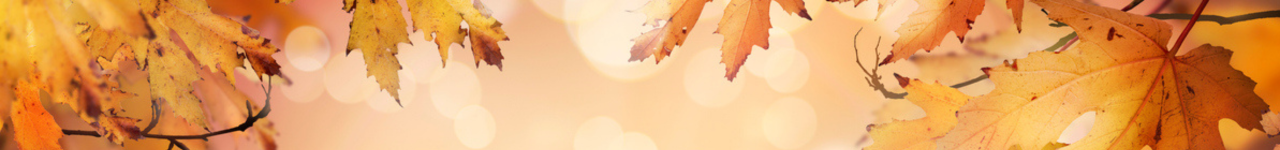 Personal injury legal training header