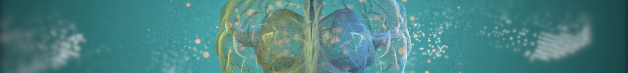 Personal injury legal training header